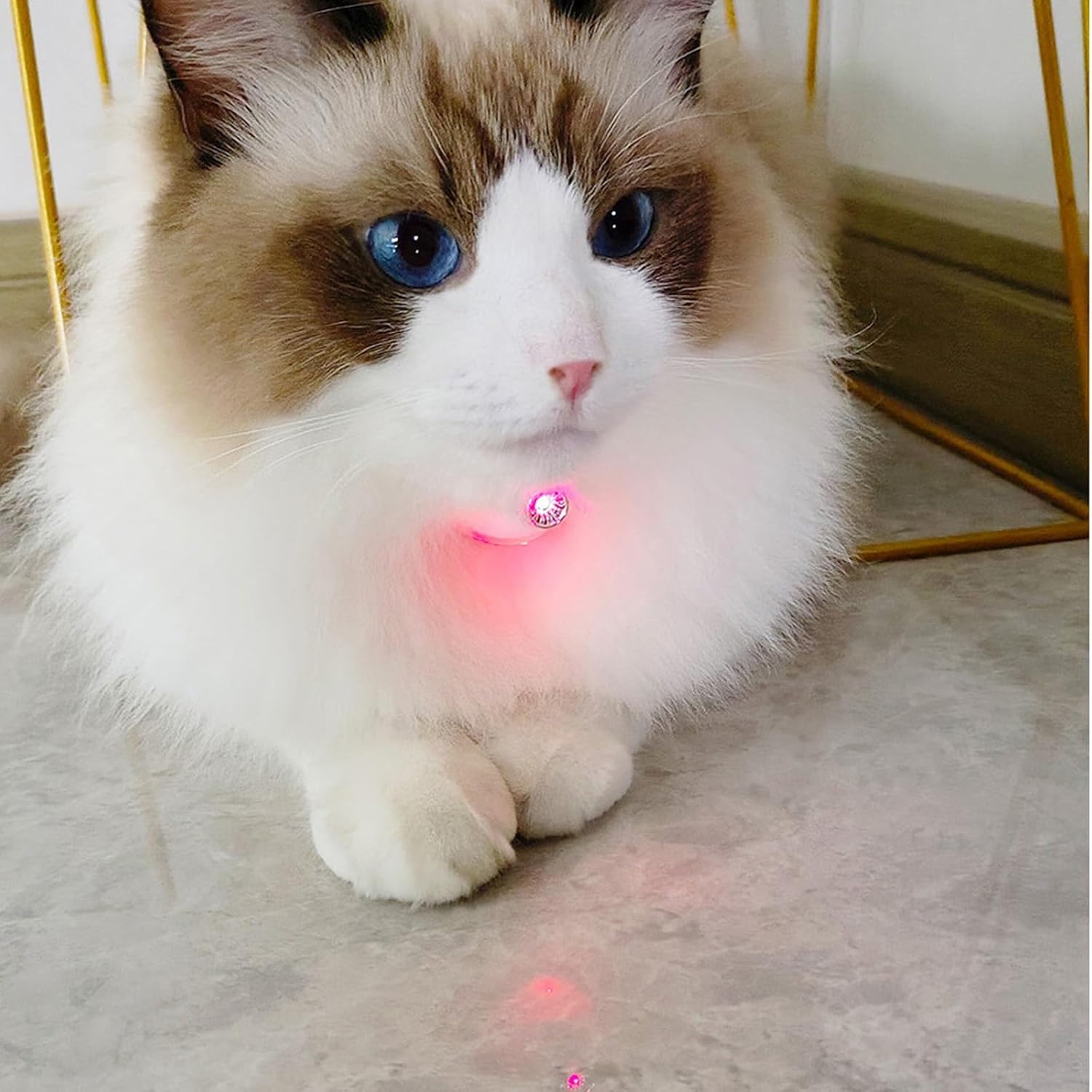 COLLAR INTELIGENTE PARA GATOS 🐈‍⬛🐾